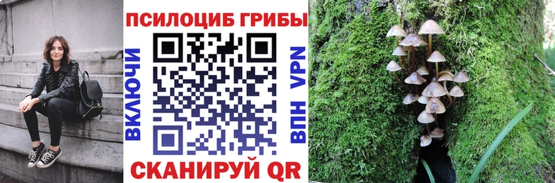 Галлюциногенные грибы GOLDEN TEACHER Купить где Серпухов
